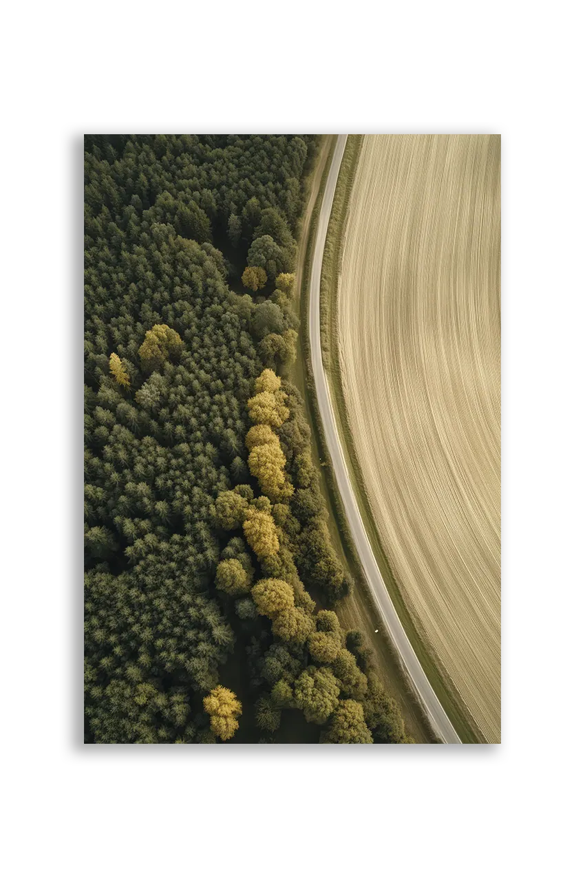Akustikbillede med dronefoto af en buet markkant mellem grøn skov og lys mark