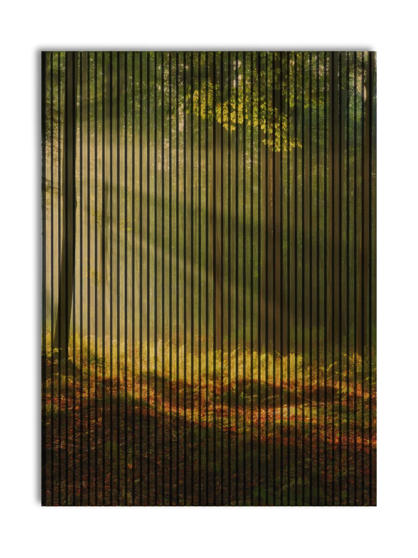Landscapes | Akustikpaneler