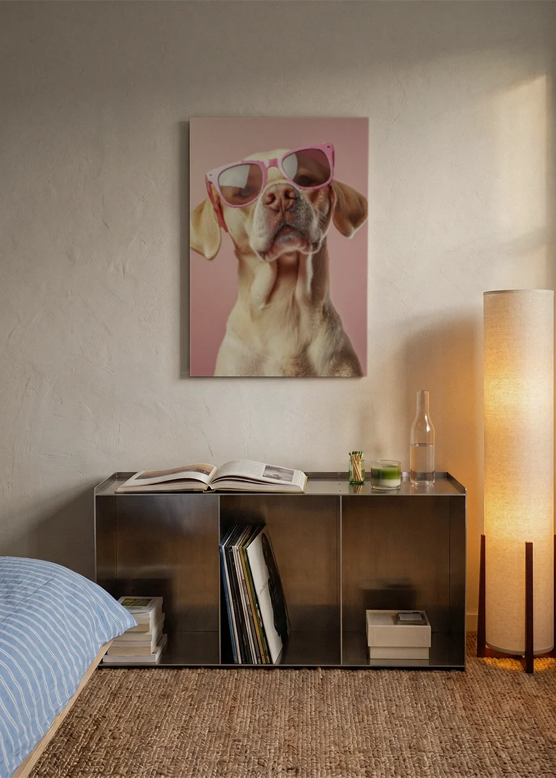 Akustikbillede med en hund med solbriller, over en reol i et soveværelse med tændt gulvlampe