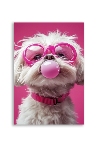 Akustikbillede med en hvid hund med tyggegummiboble og pink briller