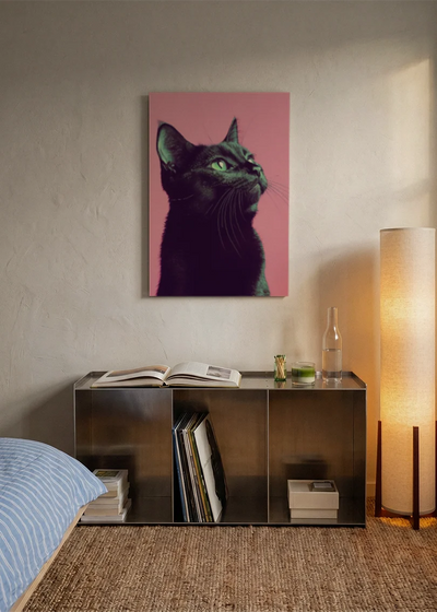 Akustikbillede med en sort kat på pink baggrund, over en reol i et soveværelse med tændt gulvlampe