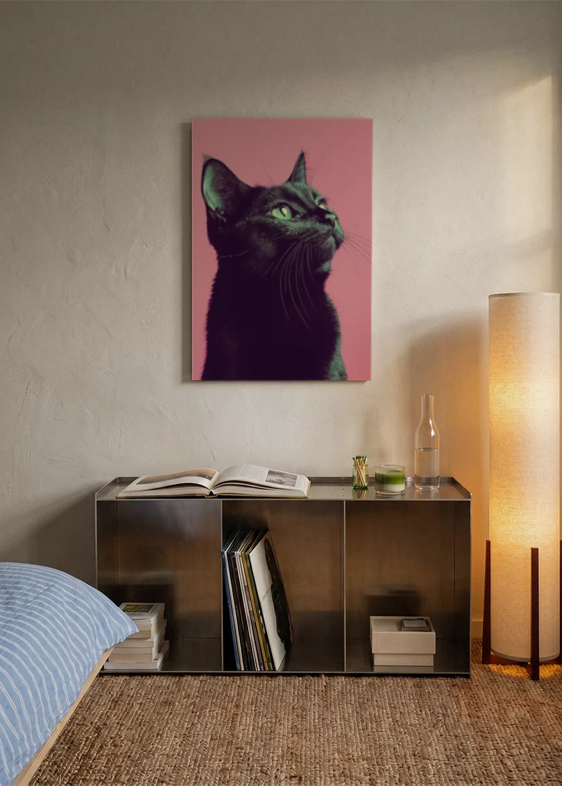 Akustikbillede med en sort kat på pink baggrund, over en reol i et soveværelse med tændt gulvlampe