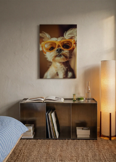 Akustikbillede med en hund med orange solbriller, over en reol i et soveværelse med tændt gulvlampe
