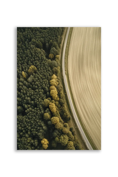 Akustikbillede med dronefoto af en buet markkant mellem grøn skov og lys mark