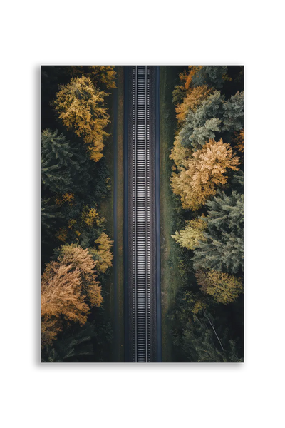 Akustikbillede med dronefoto af en jernbane gennem efterårsskov i orange og grønt