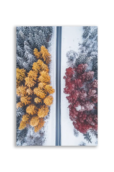 Akustikbillede med dronefoto af en vej mellem orange og rød efterårsskov