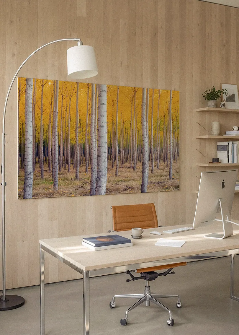 Akustikbillede med birkeskov med gule efterårsblade og hvide stammer, på hjemmekontor med hvidt skrivebord og buelampe
