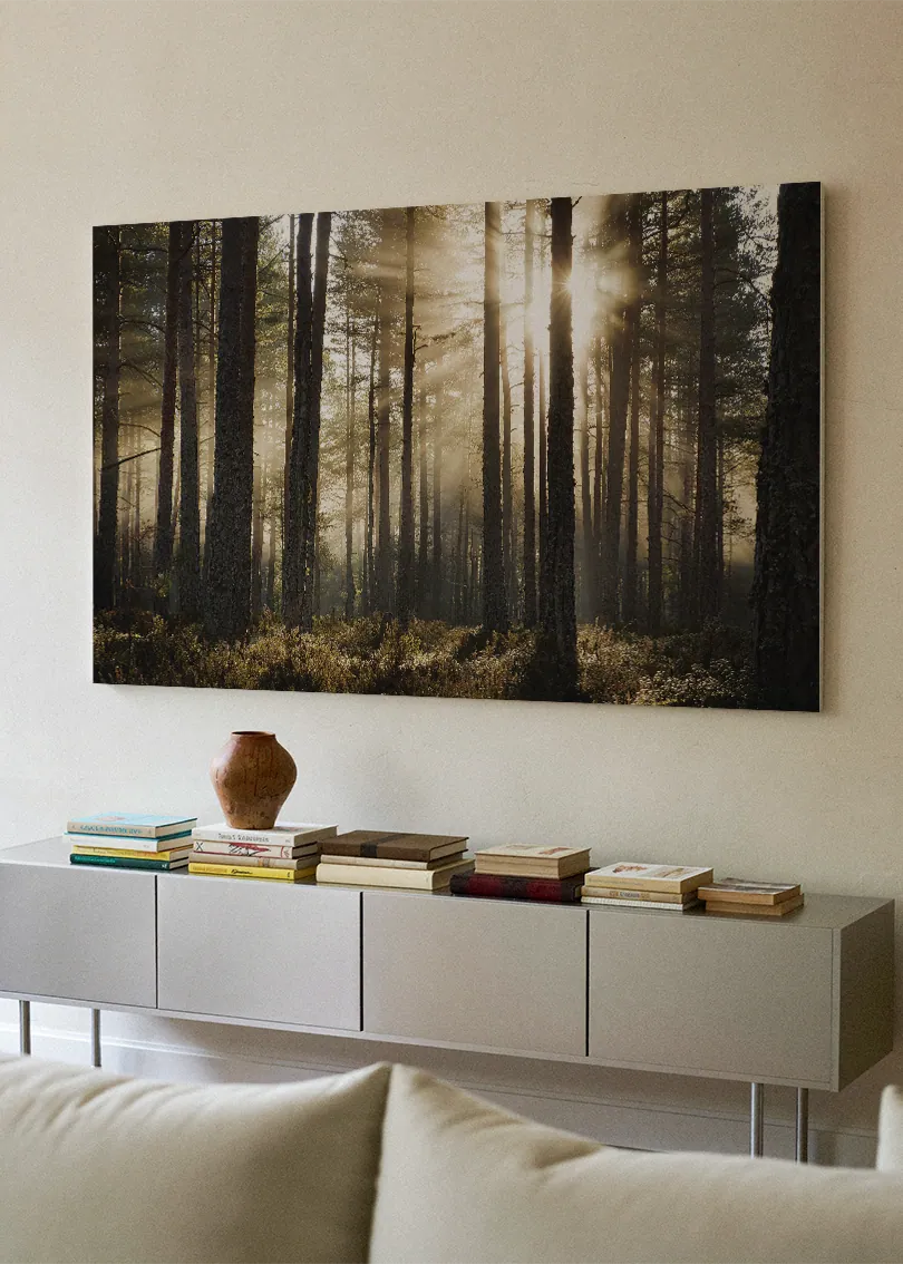 Akustikbillede med solopgang gennem høje nåletræer i tåge, over hvid skænk med sofa i forgrunden