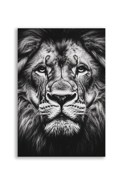 Lions NO. 21
