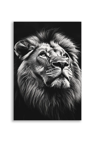 Lions NO. 22