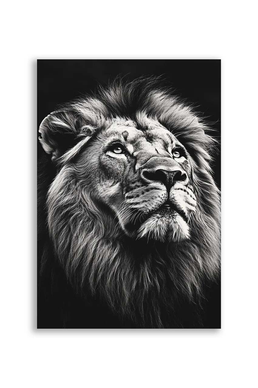Lions NO. 22