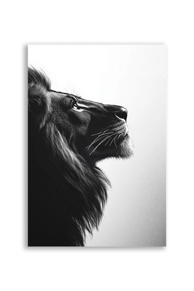 Lions NO. 24