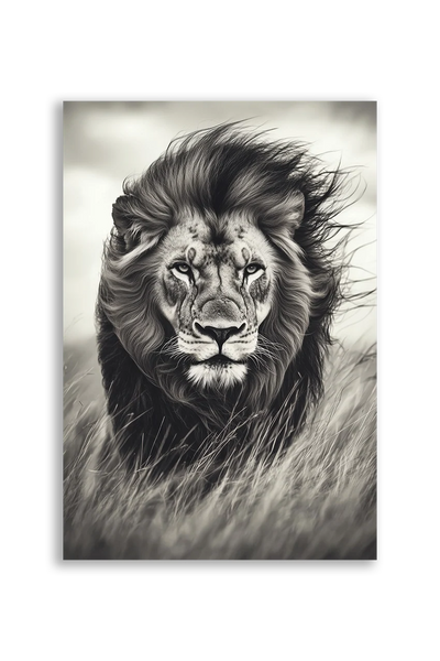 Lions NO. 25