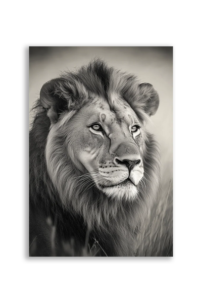 Lions NO. 26