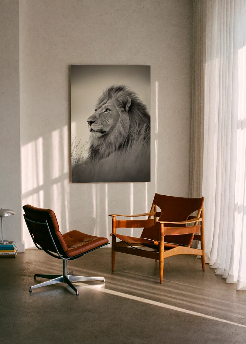Lions NO. 27
