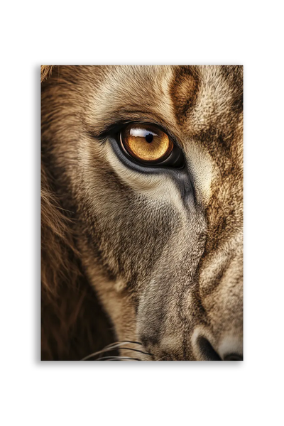 Lions NO. 32