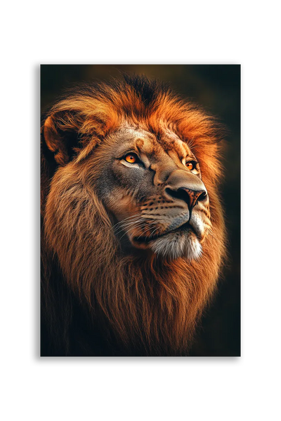 Lions NO. 35