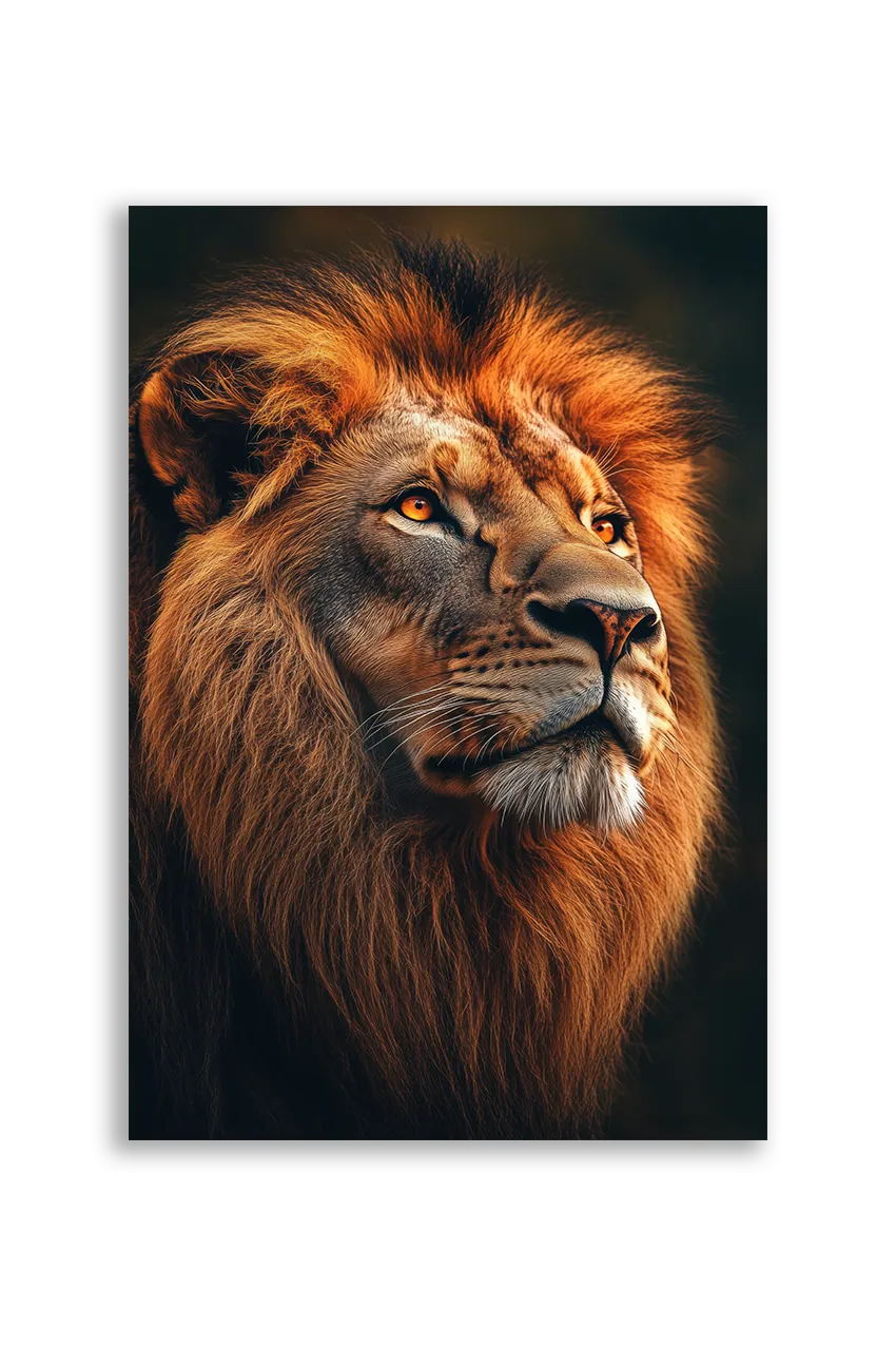 Lions NO. 35