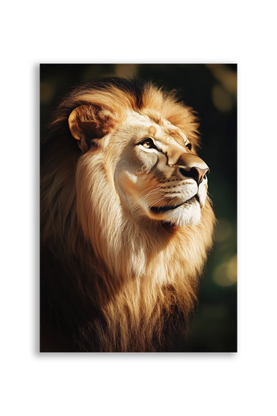 Lions NO. 36