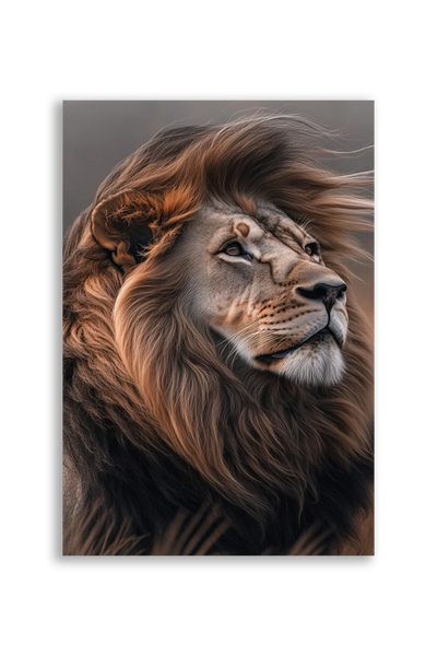 Lions NO. 39