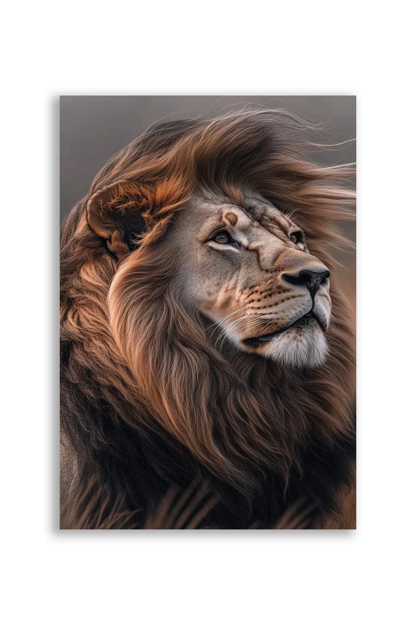 Lions NO. 39