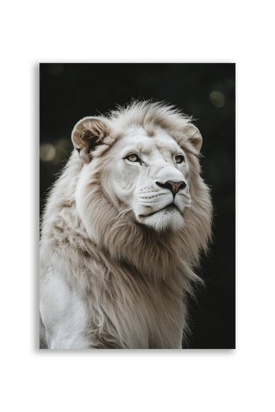 Lions NO. 42