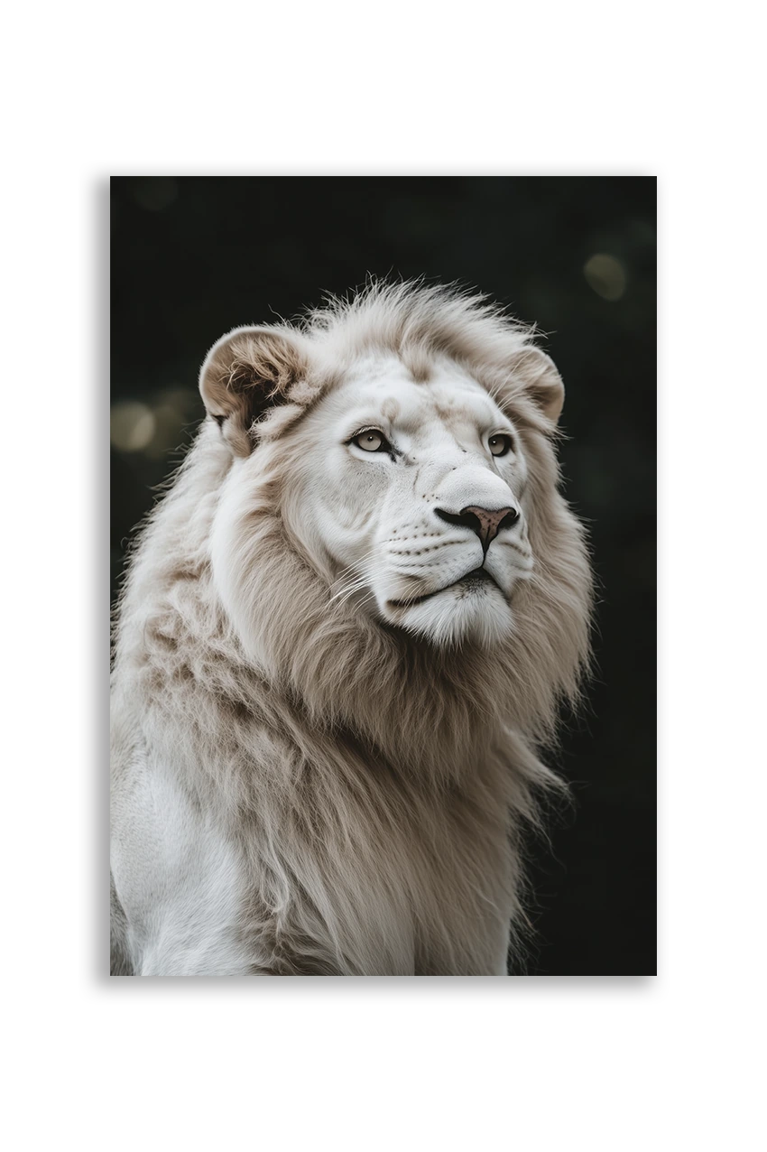 Lions NO. 42