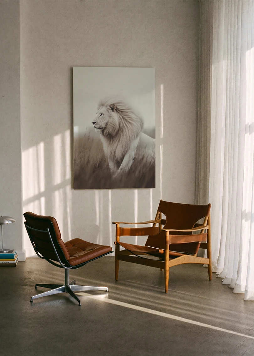 Lions NO. 46