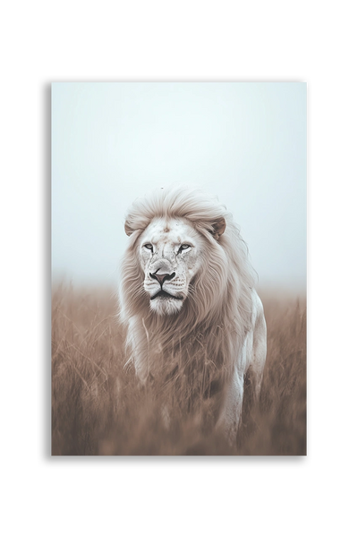 Lions NO. 47