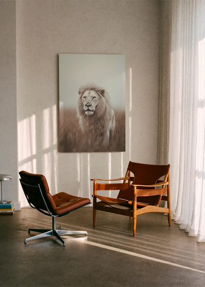 Lions NO. 47