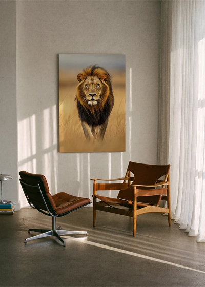 Lions NO. 50