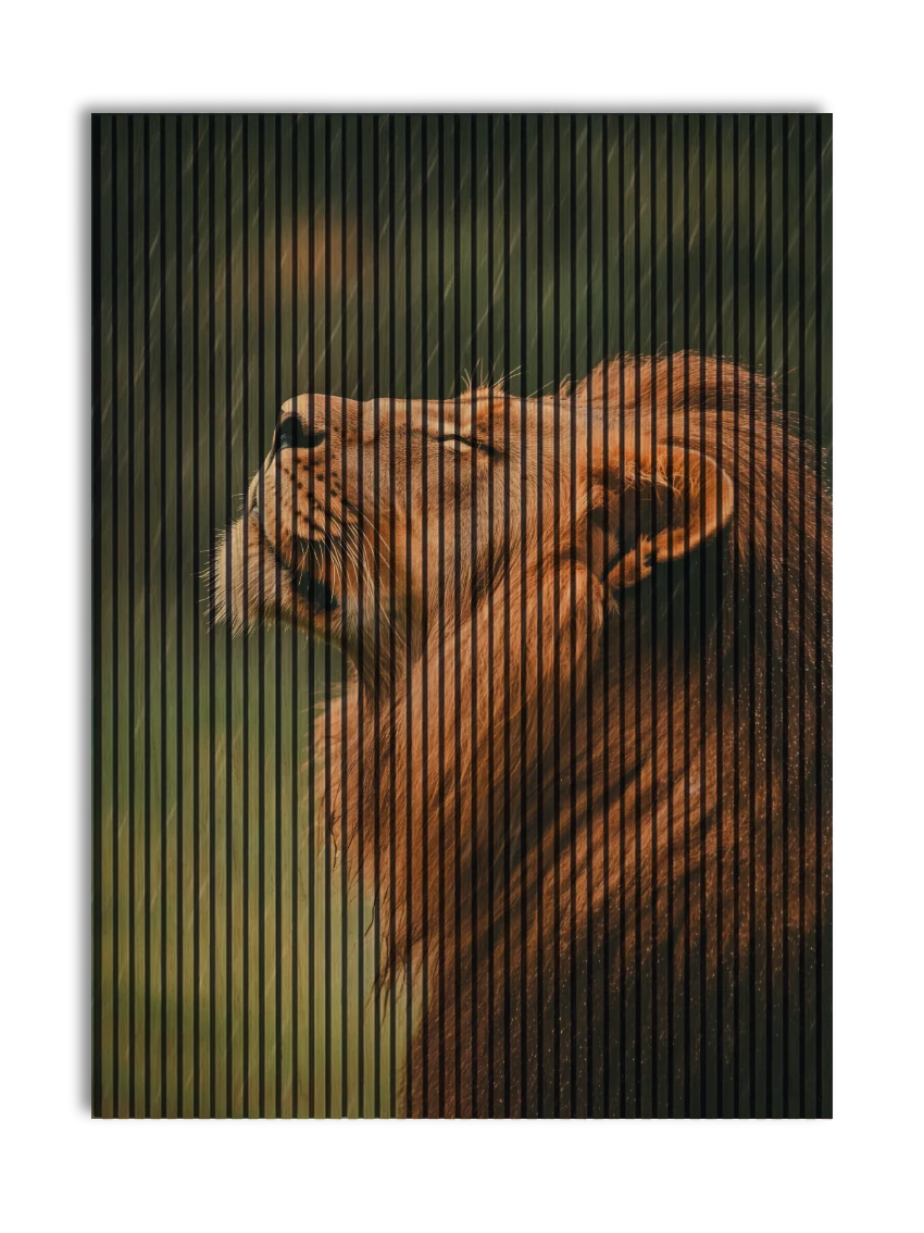 Akustikpanel med Lions-motiv nr. 53