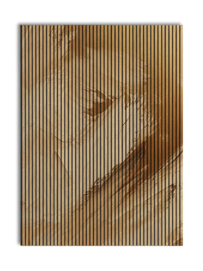 Akustikpanel med Oil Paint-motiv nr. 38