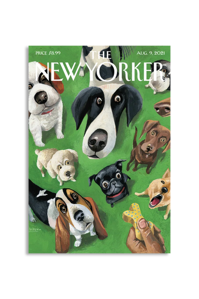Akustikbillede med The NewYorker-motiv nr. 17