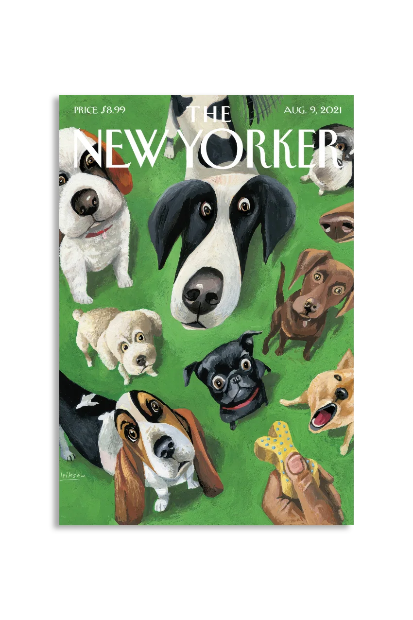 Akustikbillede med The NewYorker-motiv nr. 17